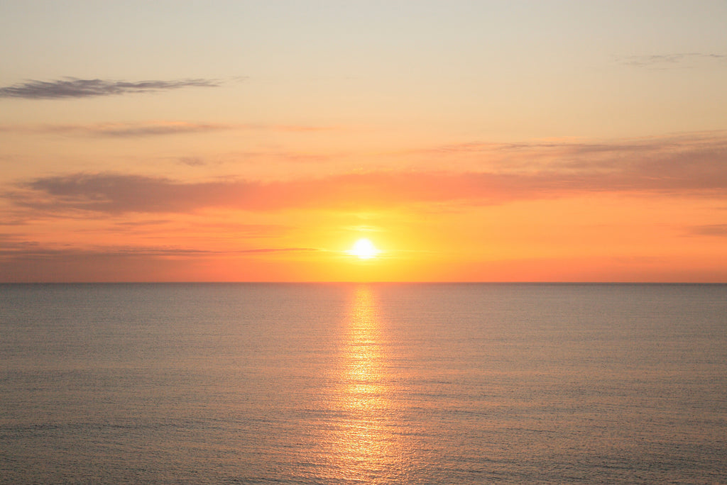 年初めのスキンケアテーマは「肌育」。健やかな肌を育てよう。