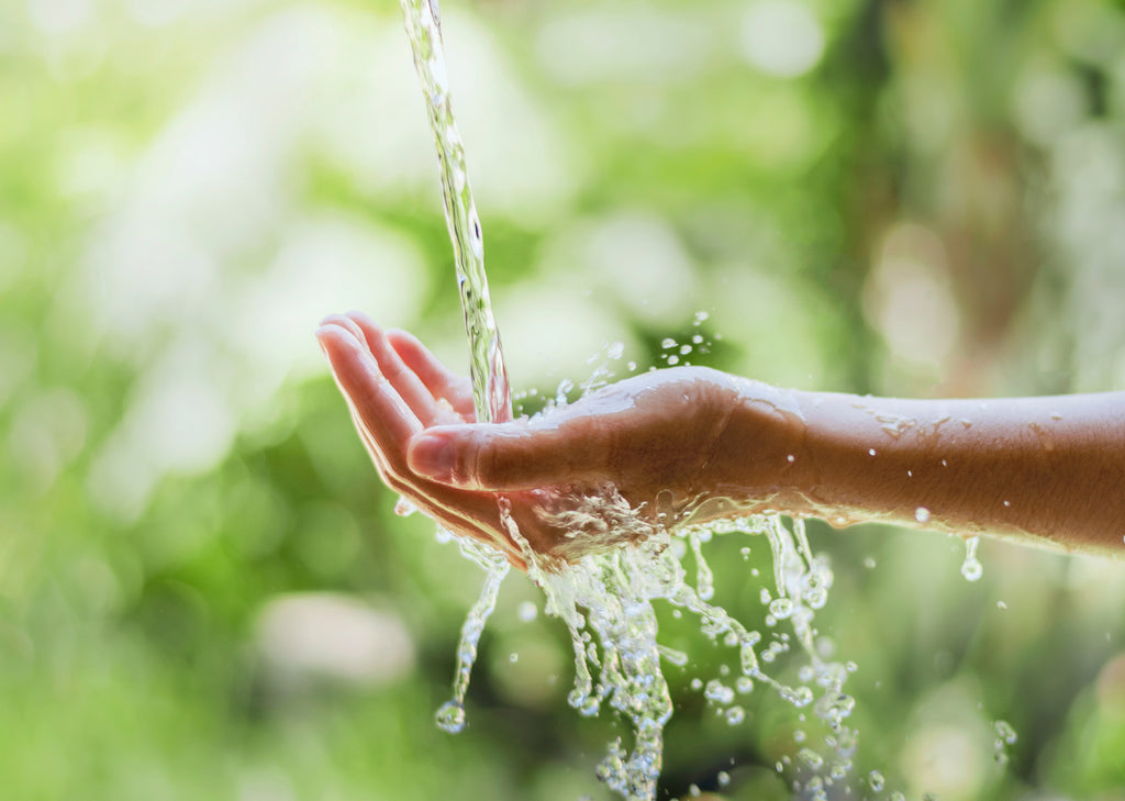 きれいな水を守り続けるには?ー水質汚染と私たちの生活の話ー