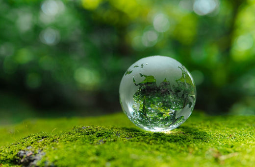 私たちができるサステナブルー1人ひとりの行動から大きな力へー