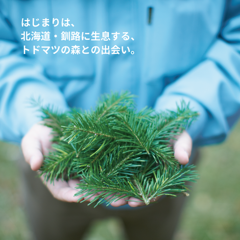 Be エッセンシャルオイル トドマツ